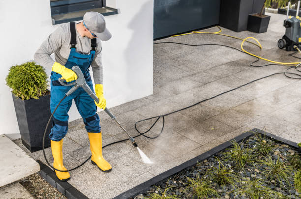 Best House Pressure Washing  in Albany, MO